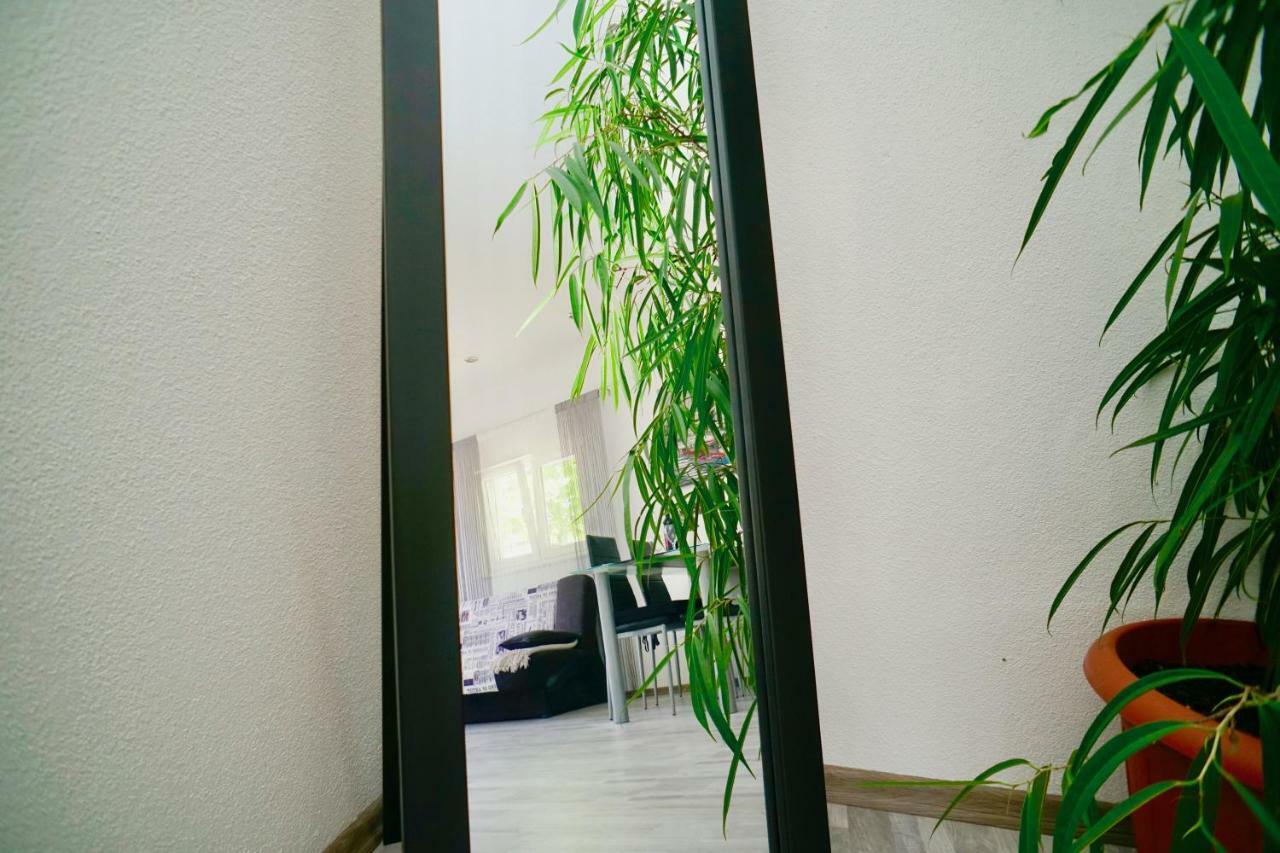 Apartments Bruna 特罗吉尔 外观 照片